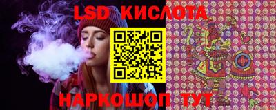 индика Новокубанск