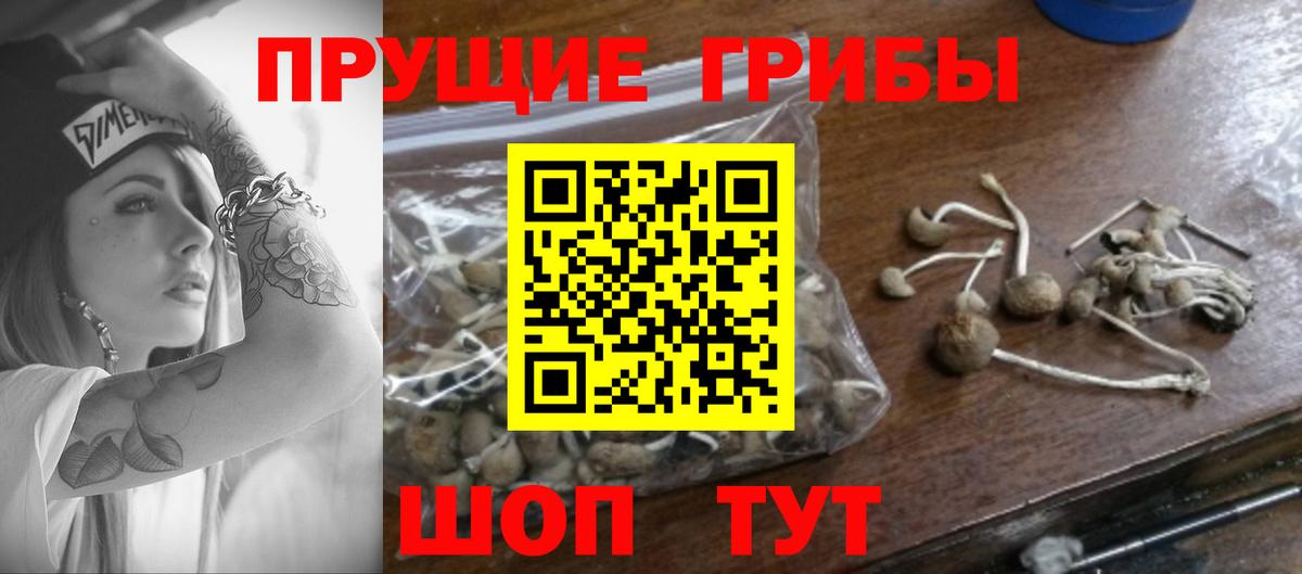 Псилоцибиновые грибы ЛСД  Вход с VPN  Трёхгорный  Галлюциногенные грибы мухоморы 