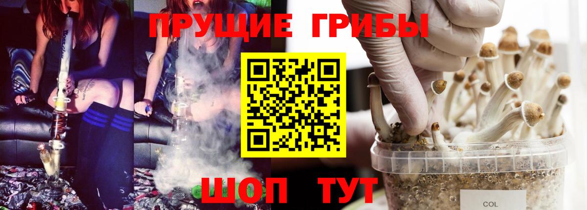 Псилоцибиновые грибы мицелий Трёхгорный